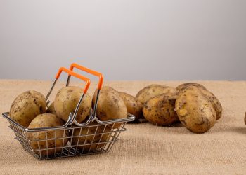 This Potato-Themed DeFi Protocol is Sending Shockwaves All over the Crypto Industry