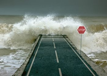 Why XRP’s Waning Momentum May perhaps Be The Calm Prior to The Storm Surge
