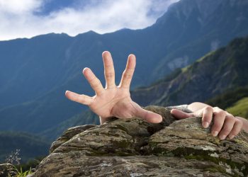 XRP Bulls Must Get to For Bigger High Or Danger 80% Collapse
