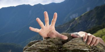 XRP Bulls Must Get to For Bigger High Or Danger 80% Collapse