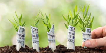 XRP Selling price Could Before long Rally 30% Towards $.40 Just after Parabolic Surge