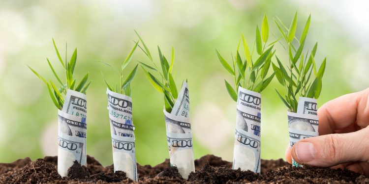 XRP Selling price Could Before long Rally 30% Towards $.40 Just after Parabolic Surge