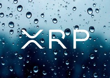 XRP sees a substantial rise in every day lively addresses despite selling price pullback