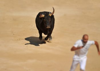 Analyst: Most up-to-date Bitcoin Rally Will not Glance Like a Bull Operate