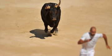 Analyst: Most up-to-date Bitcoin Rally Will not Glance Like a Bull Operate