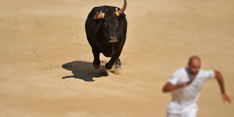 Analyst: Most up-to-date Bitcoin Rally Will not Glance Like a Bull Operate