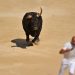 Analyst: Most up-to-date Bitcoin Rally Will not Glance Like a Bull Operate
