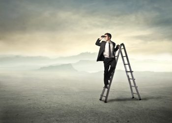 Bitcoin Fundamental Qualified: “Clarity” Arrives Just after “Rocky” Election Ends