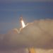 Bitcoin Holding This Important Macro Amount Implies the Upcoming Bull Marketplace is Nearing
