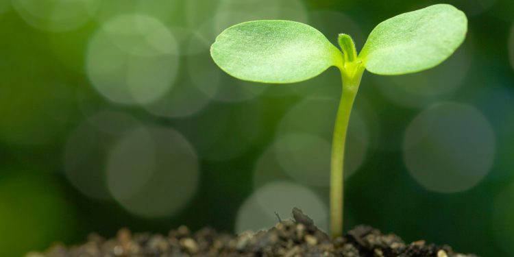 Bitcoin Options Open Desire is Increasing Again, Hinting at a Huge Go