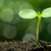 Bitcoin Options Open Desire is Increasing Again, Hinting at a Huge Go
