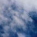 Bitcoin Slows Its Bearish Momentum Subsequent Day by day Shut Things to Contemplate