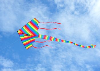 Bitcoin is About to See Strong “Liftoff” if It’s Capable to Hold 1 Very important Level