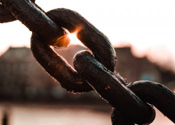 Chainlink Types Vintage Reversal Pattern as Analysts Eye More Upside