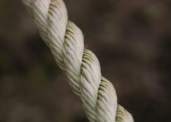 Ethereum Methods Critical Resistance Crack Higher than Could Spark Transfer to $650