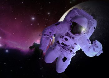 Hodlers Can Get paid Interesting Interests by Investing into Hodlnaut Crypto Loans System