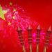 How The Xi Pump of 2019 Backs Up Bitcoin Bearish Retest Concept