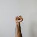Lengthy-Time period Bitcoin Traders Keep Regular Irrespective of $2,000+ Plunge