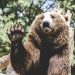 Month to month MACD Bearish Divergence Warns Of Imminent Bitcoin Crash