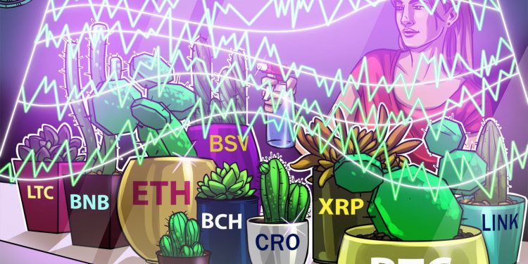 Price tag assessment 9/2: BTC, ETH, XRP, Website link, BCH, LTC, BNB, CRO, BSV, ADA
