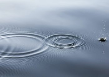 XRP Could Be Gearing Up for a “Moon Mission” as Bulls Reclaim Essential Level