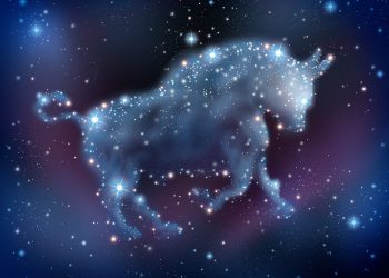 Bitcoin RSI Moves Into Bull Sector Territory, Here’s What Occurs Upcoming