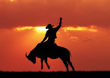 Bloomberg Intelligence Strategist Hints At Bitcoin Bull Operate In 2021