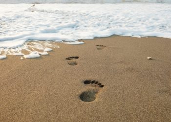 Chainlink Pursuing In 2017 Ethereum Footsteps Could Fuel Rise To $75
