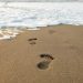Chainlink Pursuing In 2017 Ethereum Footsteps Could Fuel Rise To $75