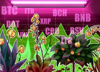 Price tag assessment 10/9: BTC, ETH, XRP, BCH, BNB, DOT, Backlink, CRO, LTC, BSV