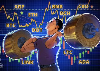 Rate evaluation 10/12: BTC, ETH, XRP, BCH, BNB, Hyperlink, DOT, ADA, LTC, CRO