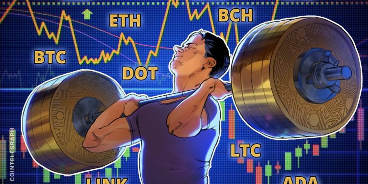 Rate evaluation 10/12: BTC, ETH, XRP, BCH, BNB, Hyperlink, DOT, ADA, LTC, CRO