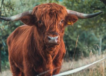 These Things Show DeFi is Bullish In spite of 50%+ Drop Seen by Numerous Crypto Tokens