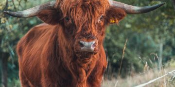 These Things Show DeFi is Bullish In spite of 50%+ Drop Seen by Numerous Crypto Tokens