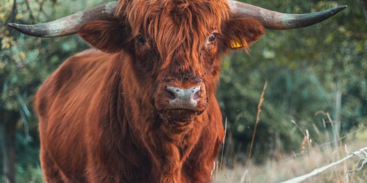 These Things Show DeFi is Bullish In spite of 50%+ Drop Seen by Numerous Crypto Tokens