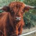 These Things Show DeFi is Bullish In spite of 50%+ Drop Seen by Numerous Crypto Tokens