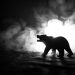 Below are 4 Reasons Why One particular Analyst is Shorting Bitcoin’s Newest Rally
