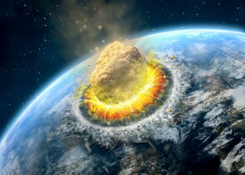 Here is Why Crypto Analysts Are Divided Over The Foreseeable future Of Altcoins