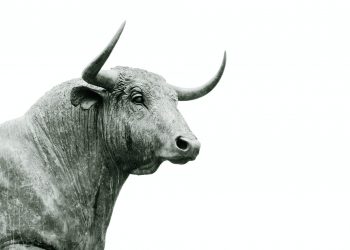 Litecoin Could be Coiling up for a Massive Rally In spite of Lackluster Selling price Action