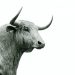 Litecoin Could be Coiling up for a Massive Rally In spite of Lackluster Selling price Action