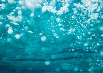 XRP Reveals Indications of Bottoming as Analysts Check out for Really serious Upside