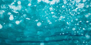 XRP Reveals Indications of Bottoming as Analysts Check out for Really serious Upside