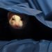 You should not Get Hoodwinked by Concealed Bitcoin Buying and selling Charges
