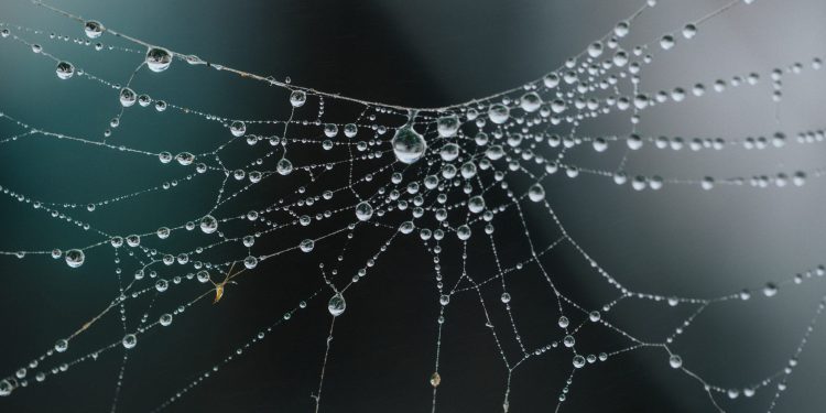 Be expecting Bitcoin to See Additional Price “Traps” Until This Event Normally takes Place
