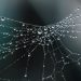 Be expecting Bitcoin to See Additional Price “Traps” Until This Event Normally takes Place
