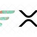 Binance US Announces Guidance For XRP Fork Flare