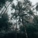 Bitcoin Could Be Forming a Community Top rated as Indicators Overbought