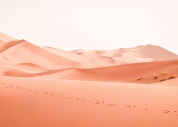 Bitcoin Practically Taps $28,000 in Ongoing Vacation Rally