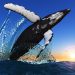 Bitcoin Whales Resurface To Provide Down Weekend Retest of Highs