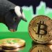 Calls for One more Bitcoin Bull Run Grows as Its Open Curiosity Soars